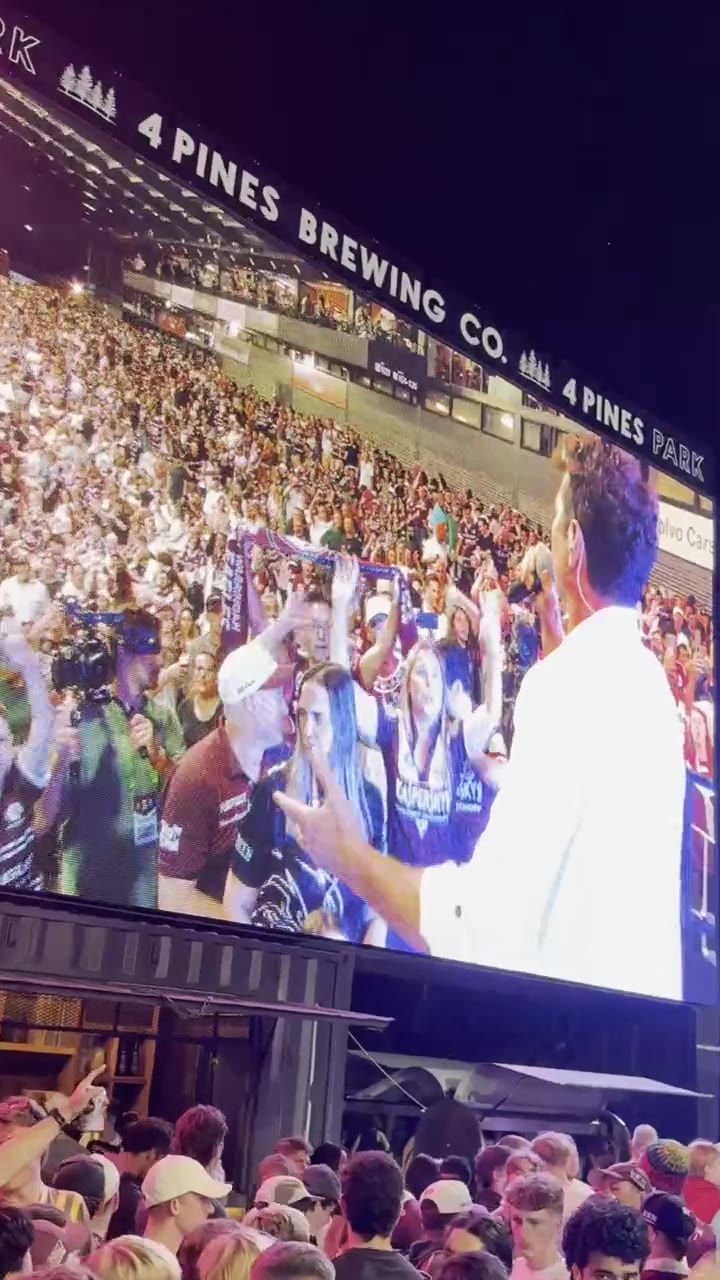 Stadium crowd at a Potbelleez show